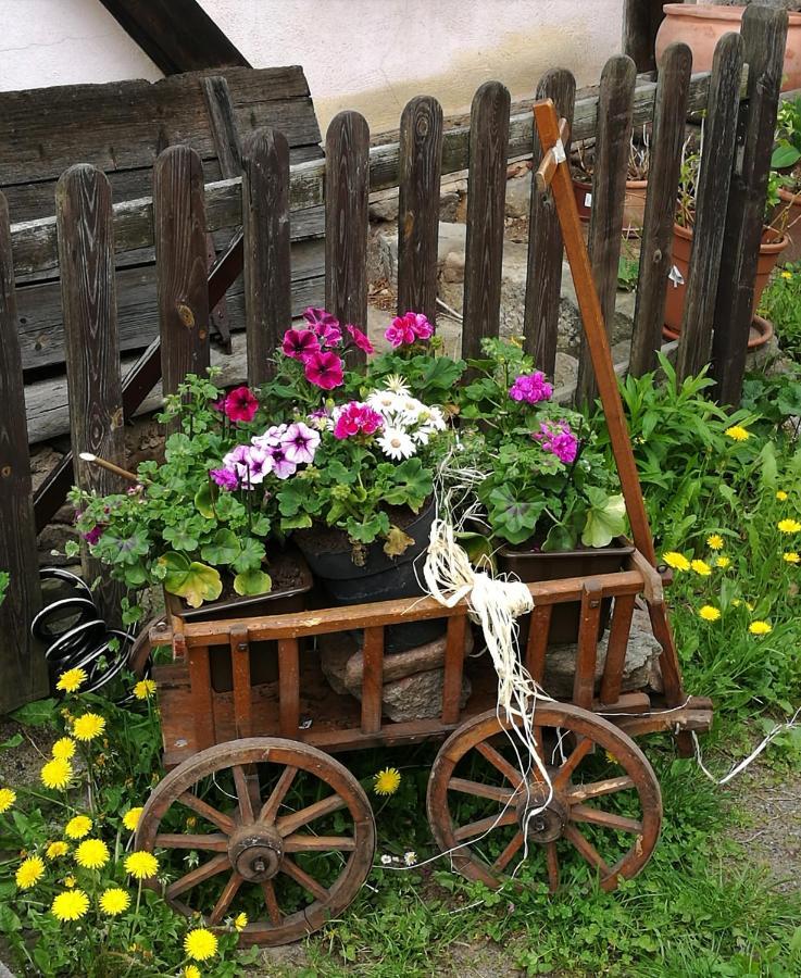 Elbhangzimmer ドレスデン エクステリア 写真