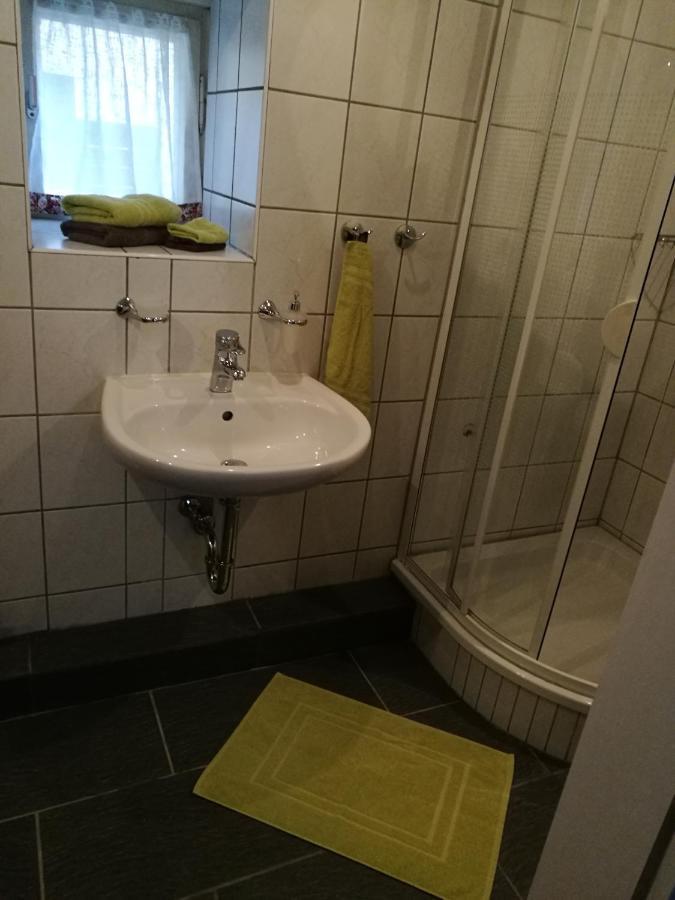 Elbhangzimmer ドレスデン エクステリア 写真