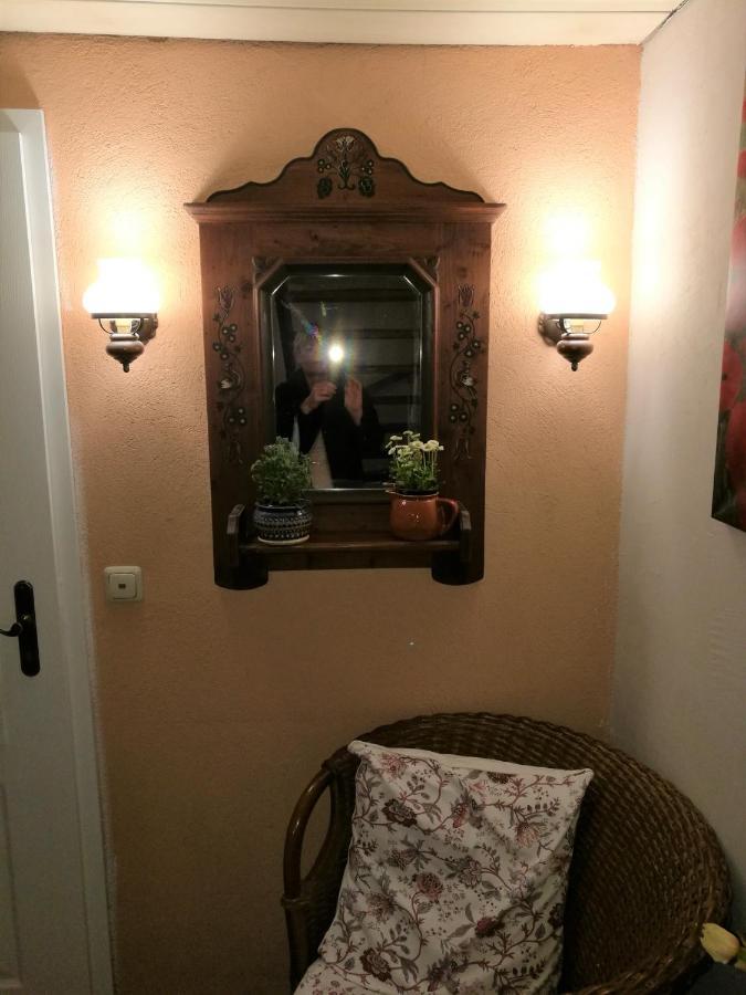 Elbhangzimmer ドレスデン エクステリア 写真