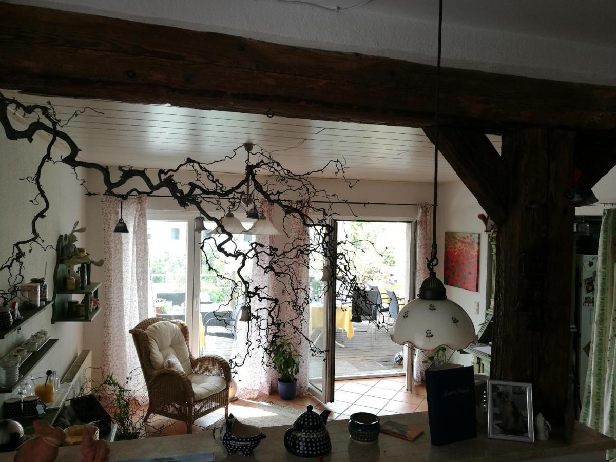 Elbhangzimmer ドレスデン エクステリア 写真